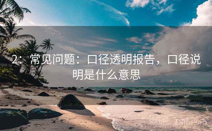 2：常见问题：口径透明报告，口径说明是什么意思