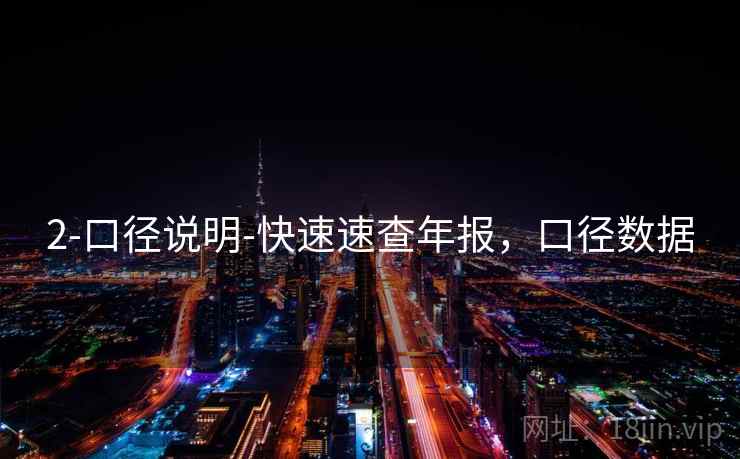 2-口径说明-快速速查年报，口径数据